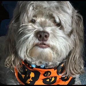 Meet your Posher, Jack